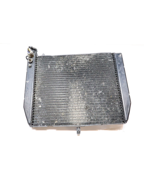 Yamaha YZF-R1, kylare