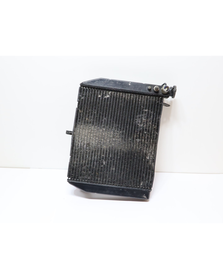 Yamaha YZF-R1, kylare