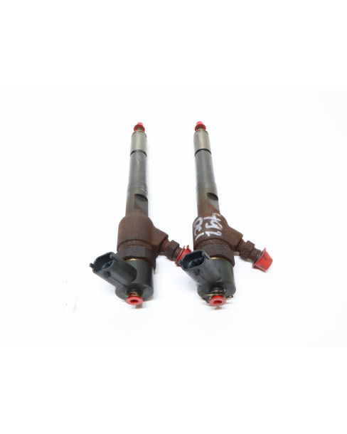 Lombardini LDW442/LDW480/LDW492 DCI, spridare (par) 2
