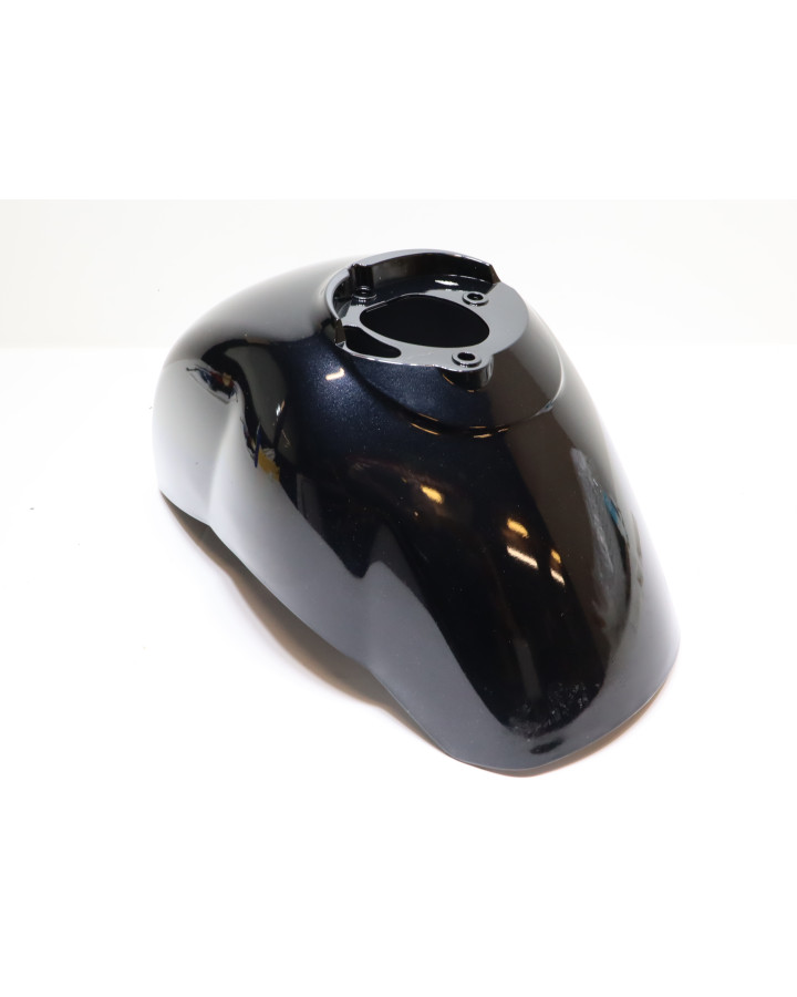 Vespa GTS 250, framskärm