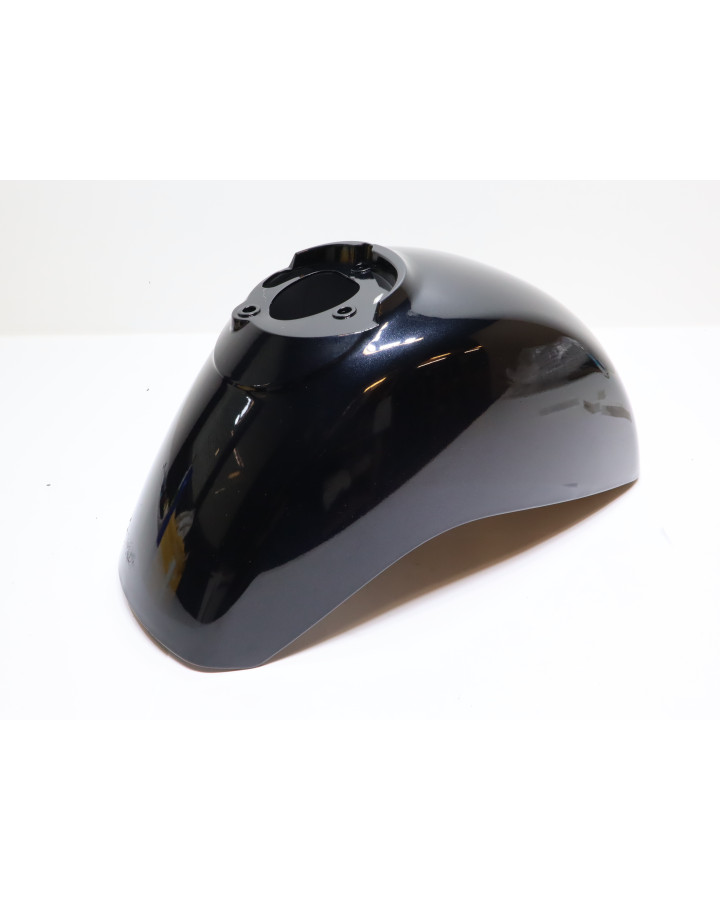 Vespa GTS 250, framskärm