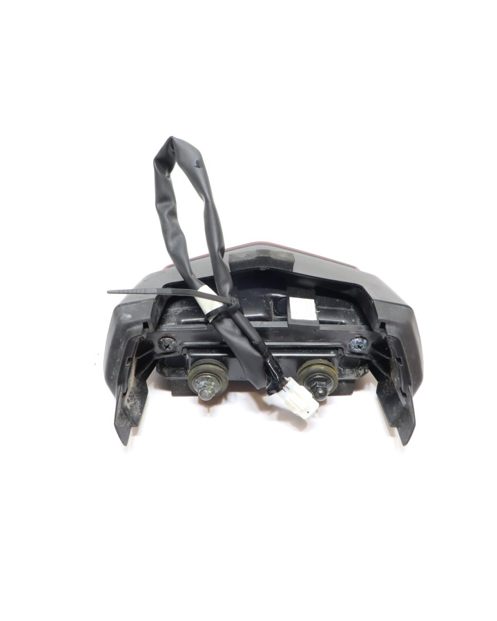 Yamaha Tenere 700, baklykta