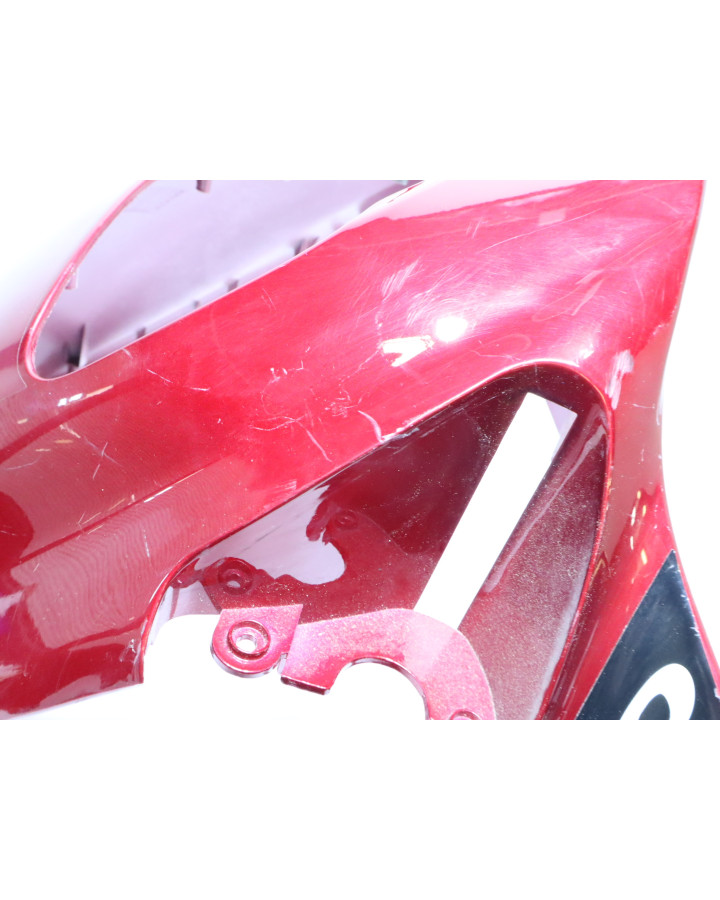 PGO T-Rex, frontkåpa