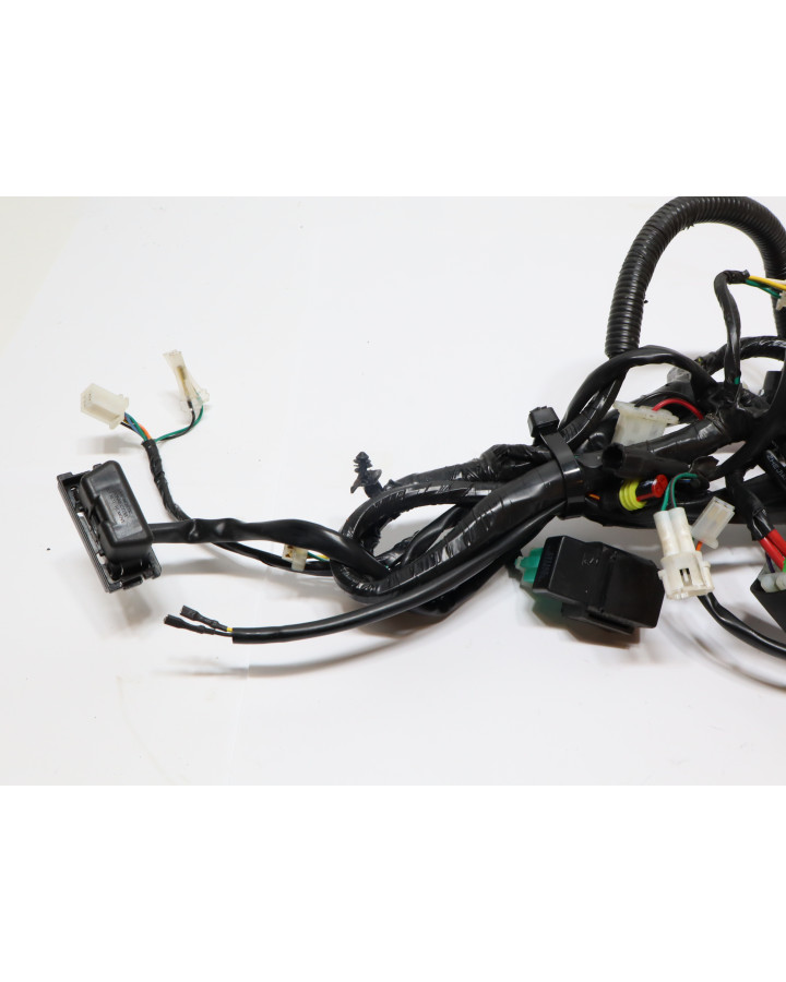 Peugeot Streetzone, kabelhärva