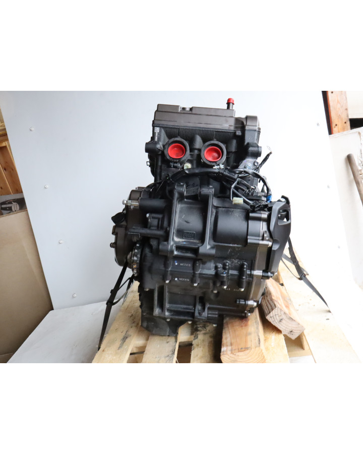 Yamaha Tenere 700, motor