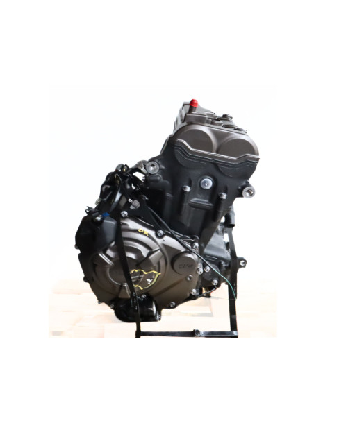 Yamaha Tenere 700, motor 2