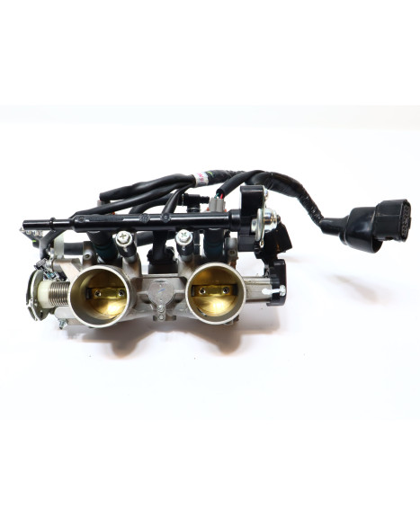 Yamaha Tenere 700, gasspjäll/insprut