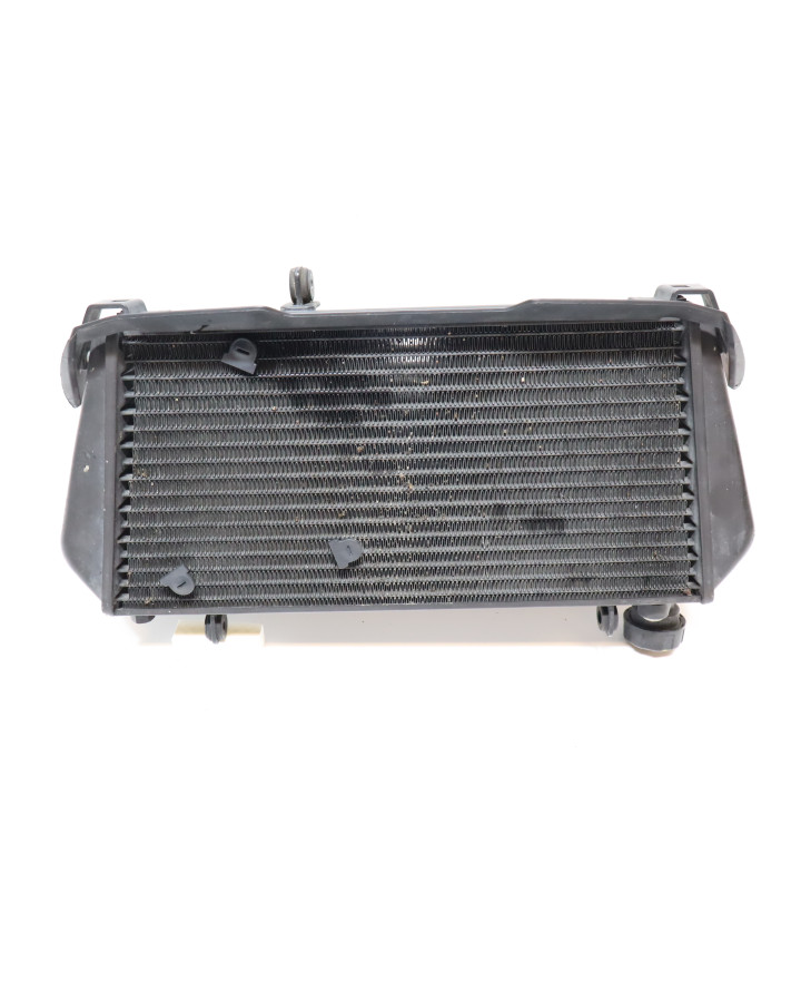 Aprilia Dorsoduro 750, kylare