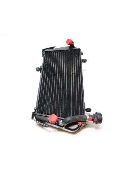 Aprilia Dorsoduro 750, kylare