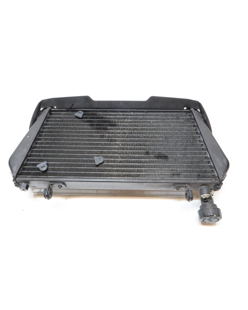 Aprilia Dorsoduro 750, kylare 2