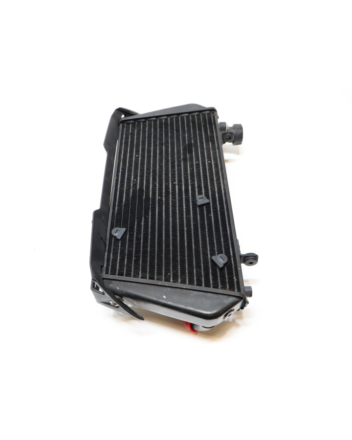 Aprilia Dorsoduro 750, kylare