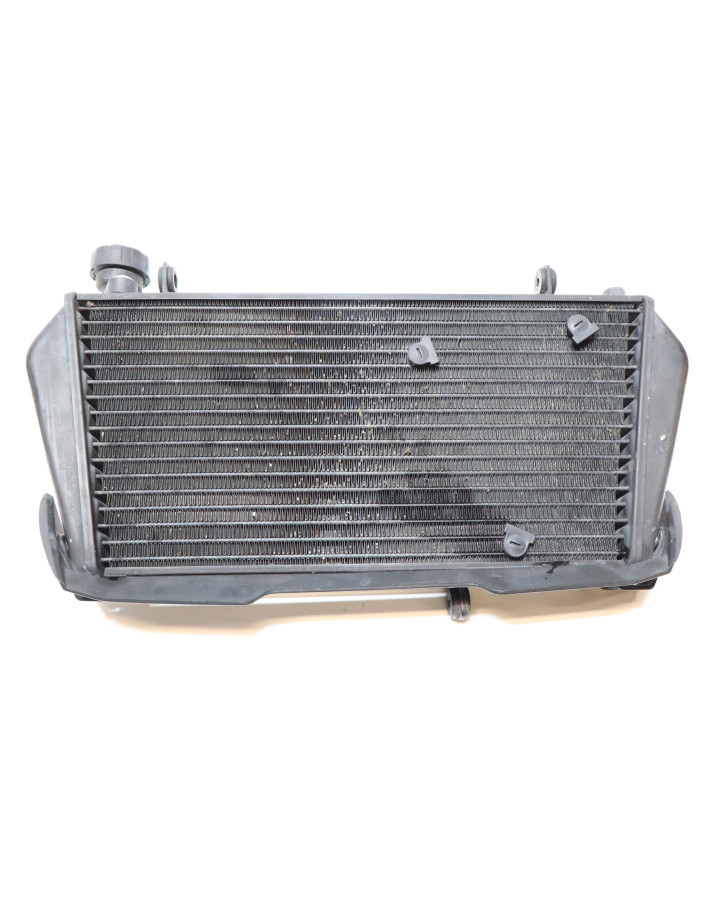 Aprilia Dorsoduro 750, kylare