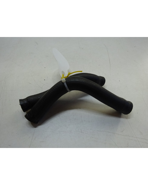 Motorhispania Ryz, kylarslangar 2