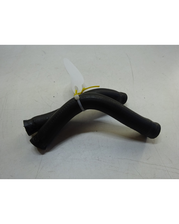 Motorhispania Ryz, kylarslangar