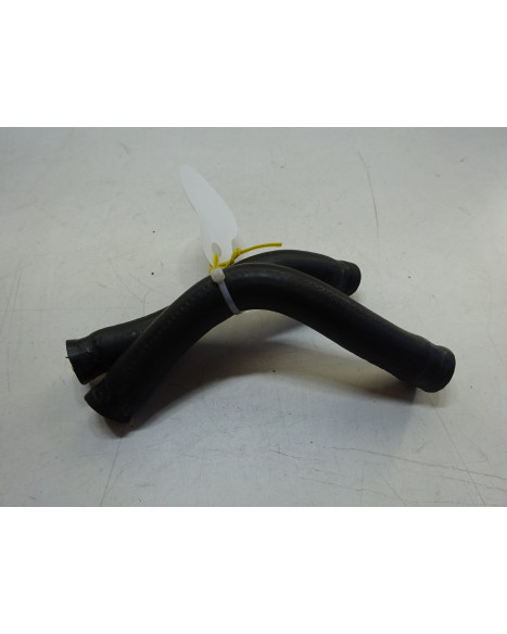 Motorhispania Ryz, kylarslangar