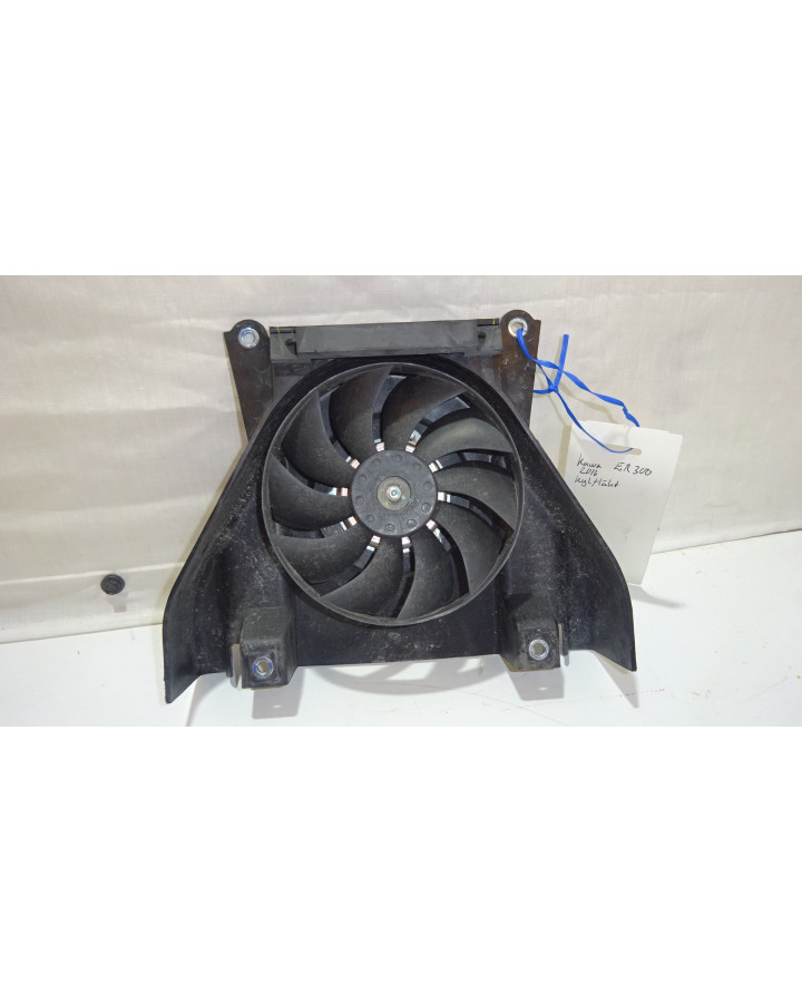 Kawazaki Z300, kylarfläkt