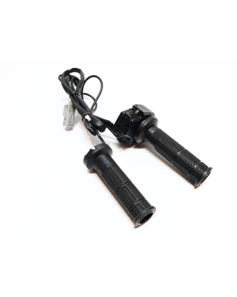 Ducati Multistrada V4 S, elektroniskt gashandtag med värme 2