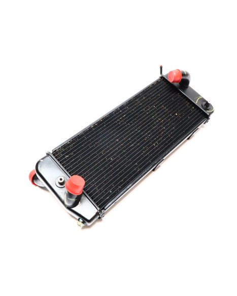 Ducati Multistrada V4 S, kylare vänster