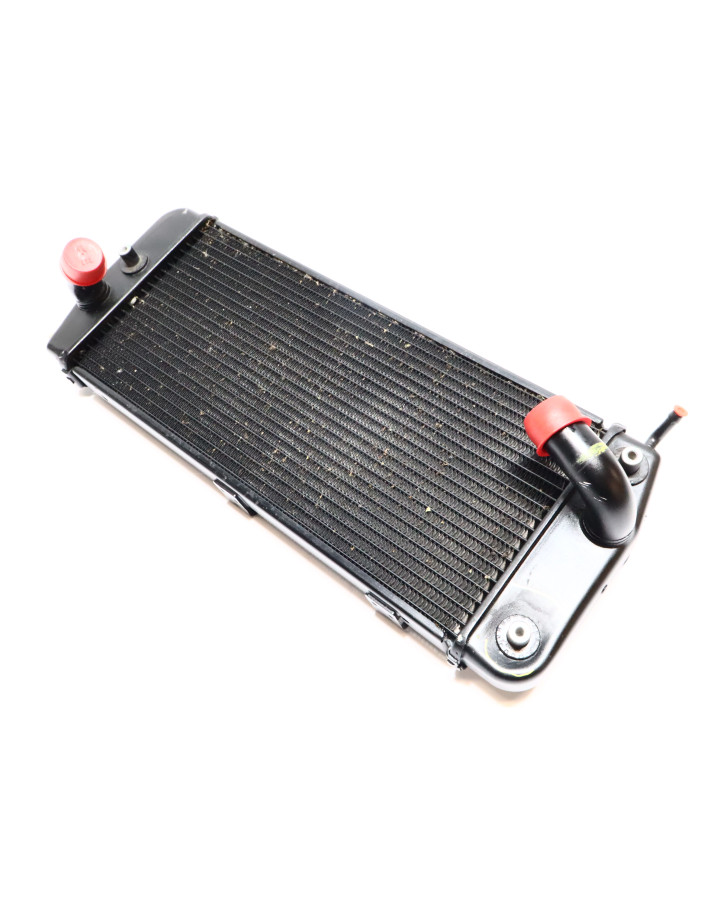 Ducati Multistrada V4 S, kylare vänster