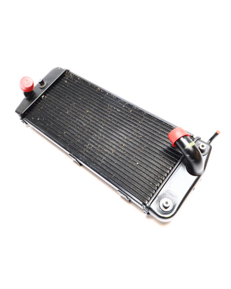 Ducati Multistrada V4 S, kylare vänster