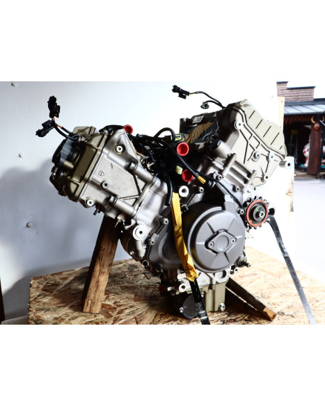 Ducati Multistrada V4 S, motor
