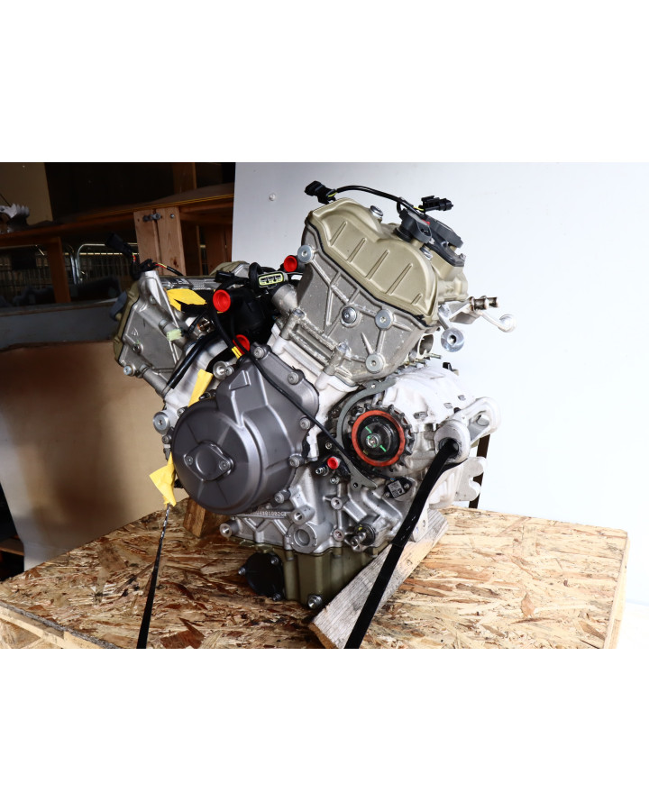 Ducati Multistrada V4 S, motor