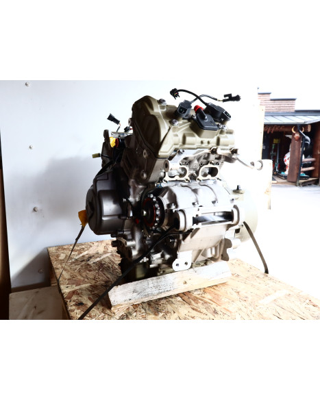 Ducati Multistrada V4 S, motor