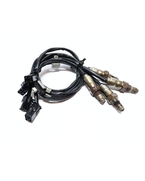 Ducati Multistrada V4 S, lambdasond (4 styck)