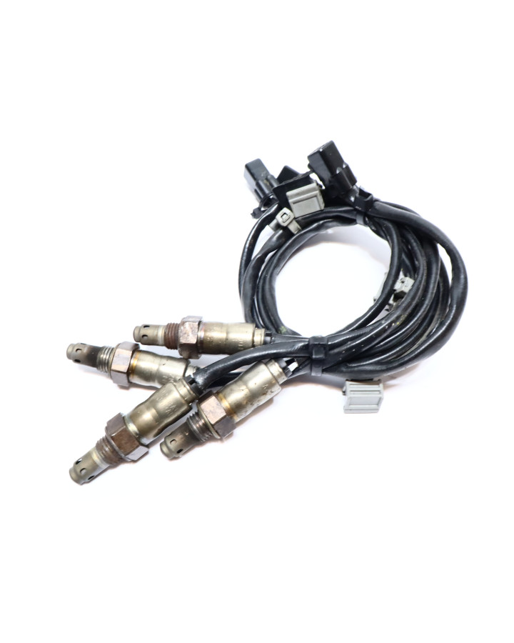 Ducati Multistrada V4 S, lambdasond (4 styck)