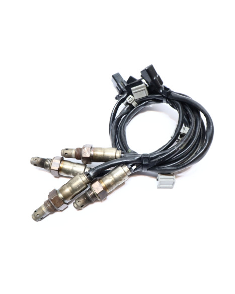 Ducati Multistrada V4 S, lambdasond (4 styck)