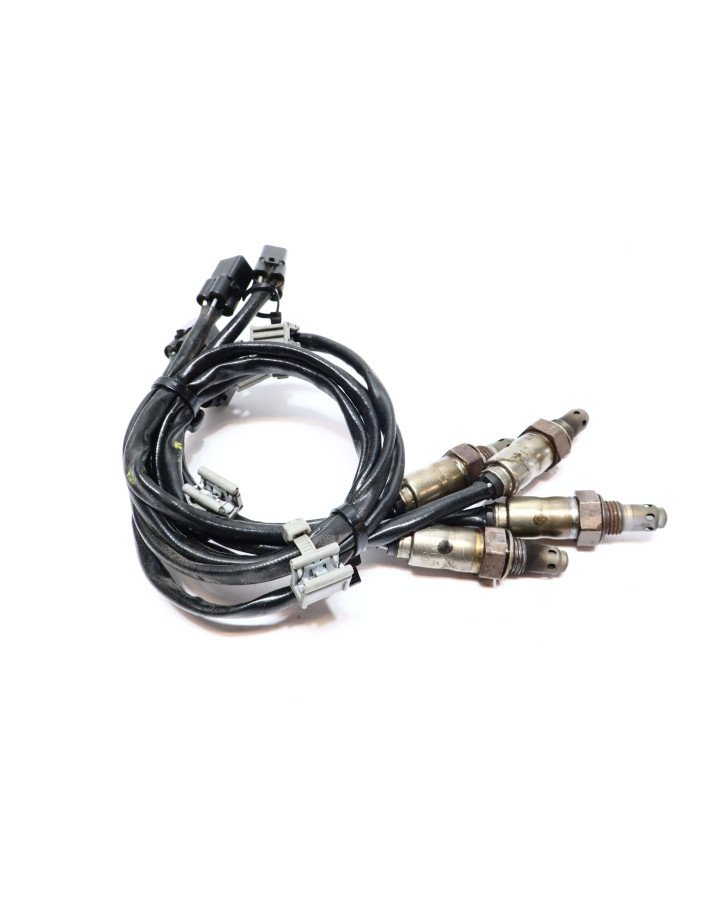 Ducati Multistrada V4 S, lambdasond (4 styck)