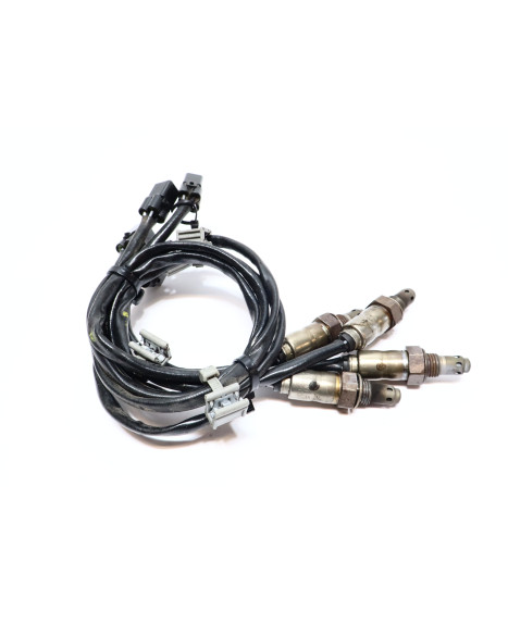 Ducati Multistrada V4 S, lambdasond (4 styck)