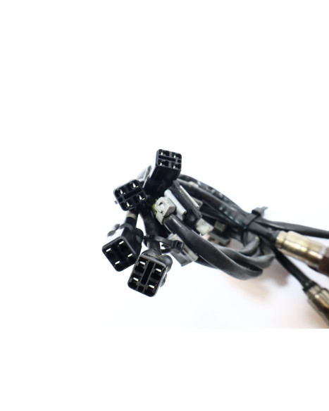 Ducati Multistrada V4 S, lambdasond (4 styck)