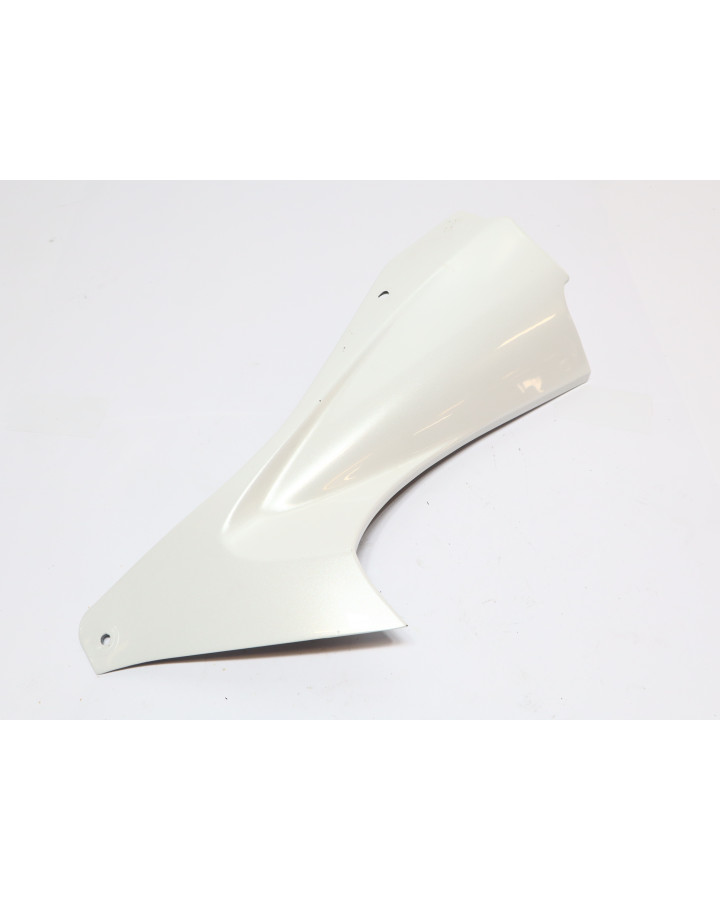 Yamaha YZF-R6, inre panel vänster fram