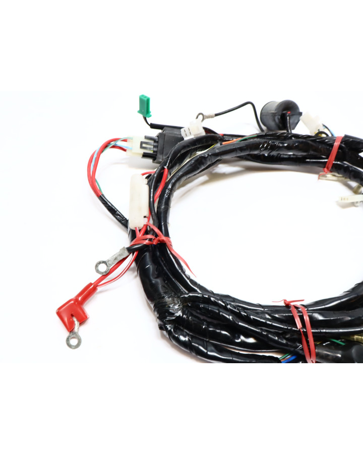 PGO T-Rex, kabelhärva