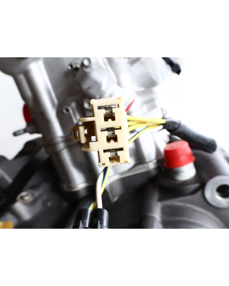 Aprilia Dorsoduro 750, motor