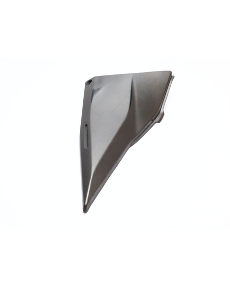 Kawasaki Z1000, sidokåpa vänster