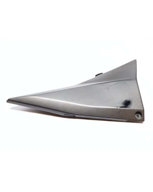 Kawasaki Z1000, sidokåpa höger