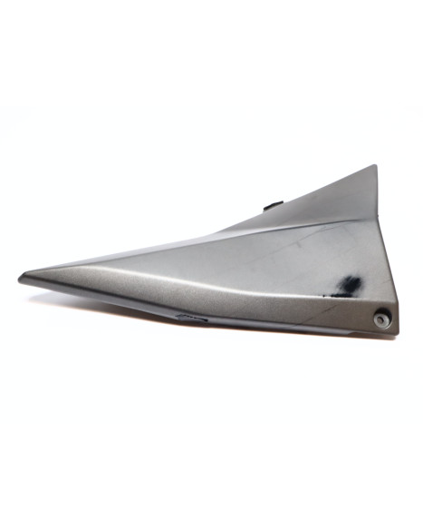 Kawasaki Z1000, sidokåpa höger