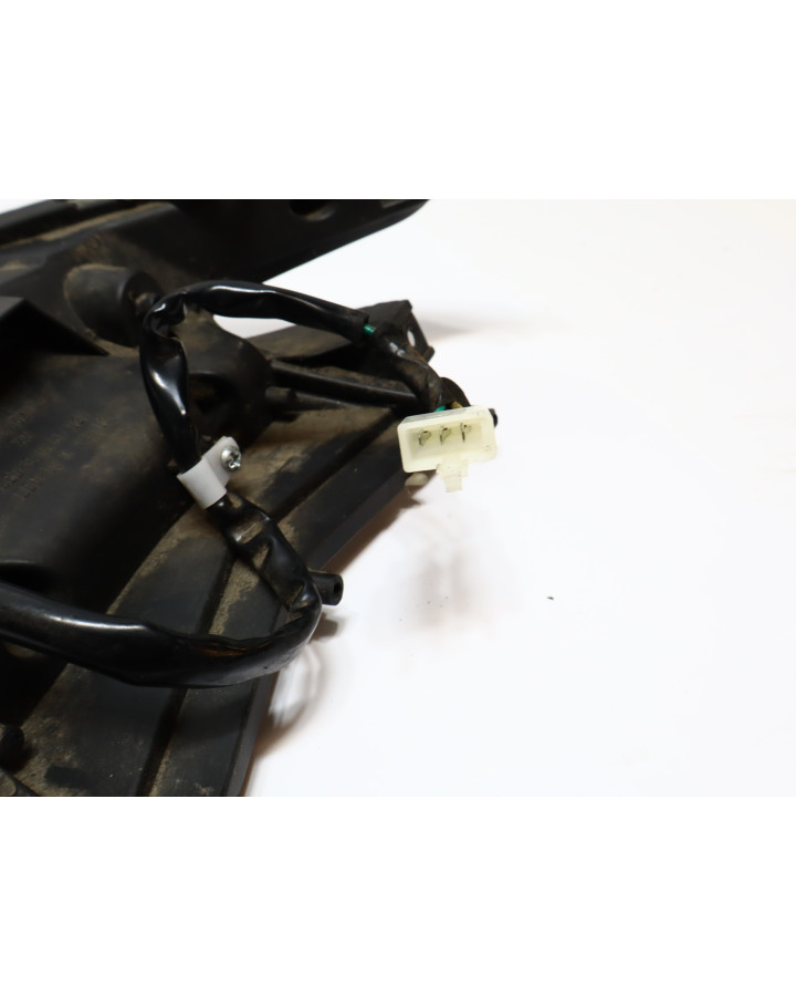 Viarelli Monztro, baklykta