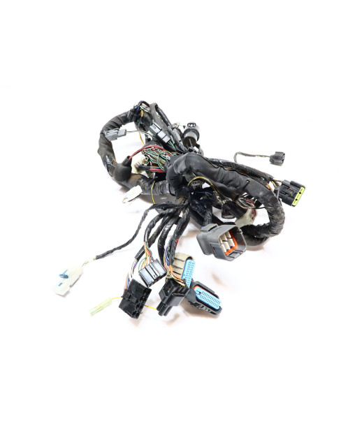 Kawasaki Z1000, kabelhärva 2